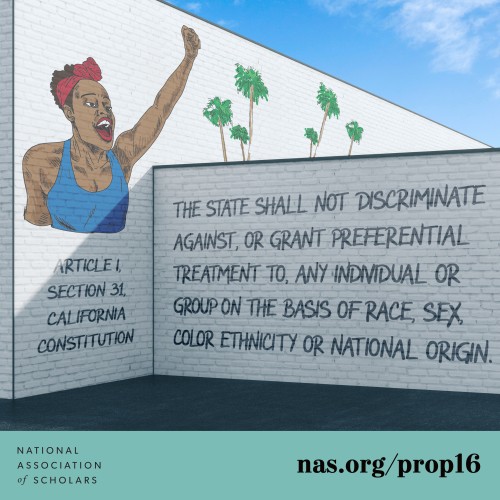 “The state shall not discriminate against, or grant preferential treatment to, any individual or group on the basis of race, sex, color, ethnicity, or national origin in the operation of public employment, public education, or public contracting.”