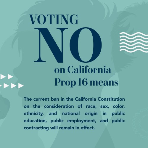 Voting No on California Prop 16 means the current ban in the Californian Constitution on the consideration of race, sex, color, ethnicity, and national origin in public education, public employment, and public contracting will remain in effect.